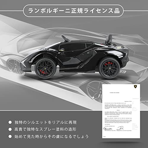 VUVUINC Lamborghini Sian ランボルギーニ 特別Equipment MAX ver. ラッカーブラックサムネイル5