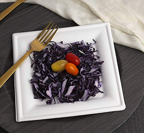 Piatti quadrati monouso, in fibra di canna da