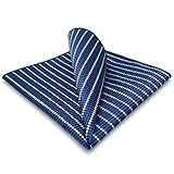 S&W SHLAX&WING Stripes Blue Pocket Square Fashion 12.6