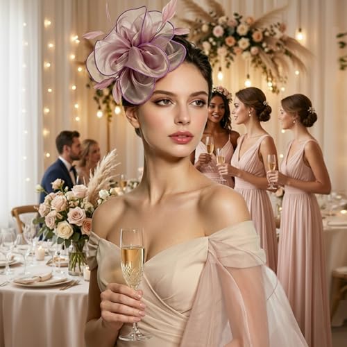 Image of DRESHOW Fascinators Hat Tea Party Headwear Ribbons Feathers on a Headband and a Clip for Women