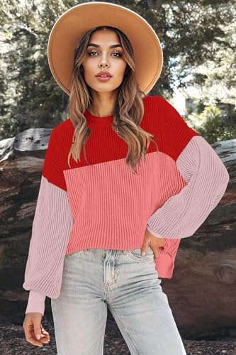 Image of Zeagoo Women 2026 Fall Lightweight Oversized Sweater Crew Neck Long Sleeve Color Block Pullover Rib Knit Blouse Tops XS-2XL