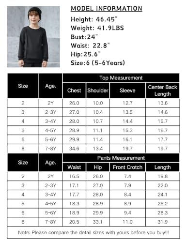 Image of Toddler Boys boys sets ,Long Sleeve Fleece Fall Winter boys sweatsuit