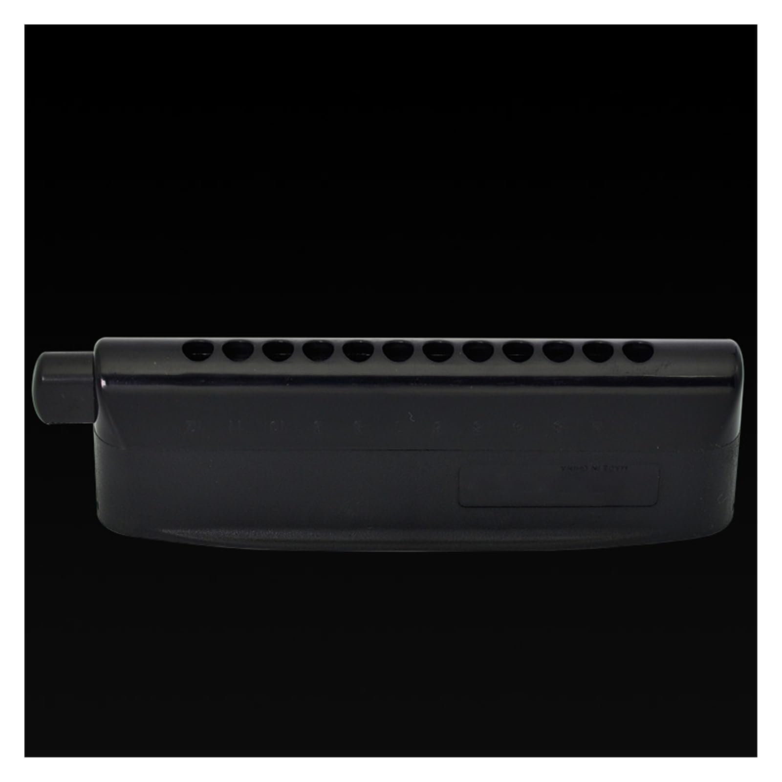 Instrument harmonica 12 trous pour les performances professionnelles des débutants