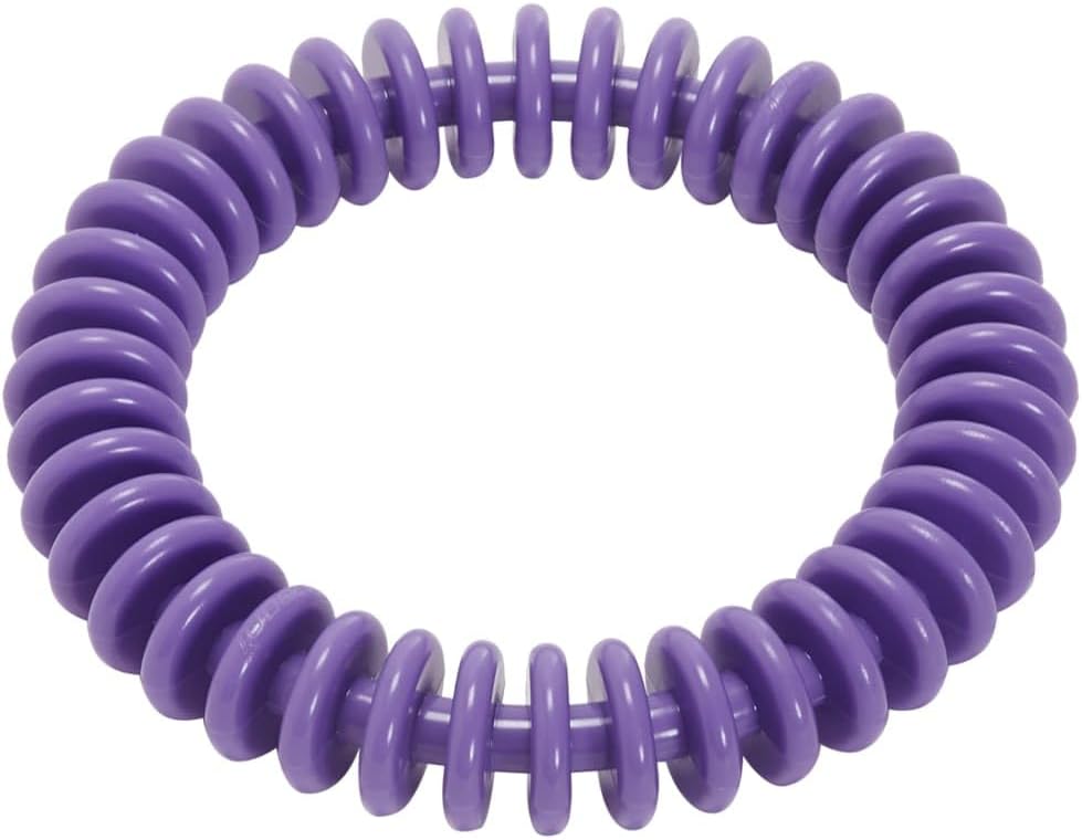 Sporti 6" Dive Ring - Purple