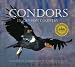 Condors in Canyon Country: The Return of the California Condor to the Grand Canyon Region