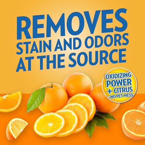 Image of OUT! PetCare Complete Oxy Stain Remover, Dog Stain Carpet Cleaner, 32oz | Upholstery Cleaner, Odor Eliminator, Stain Remover Spray, Pet Carpet Cleaner, Dog Urine Remover, Spot Cleaner, Floor Cleaner