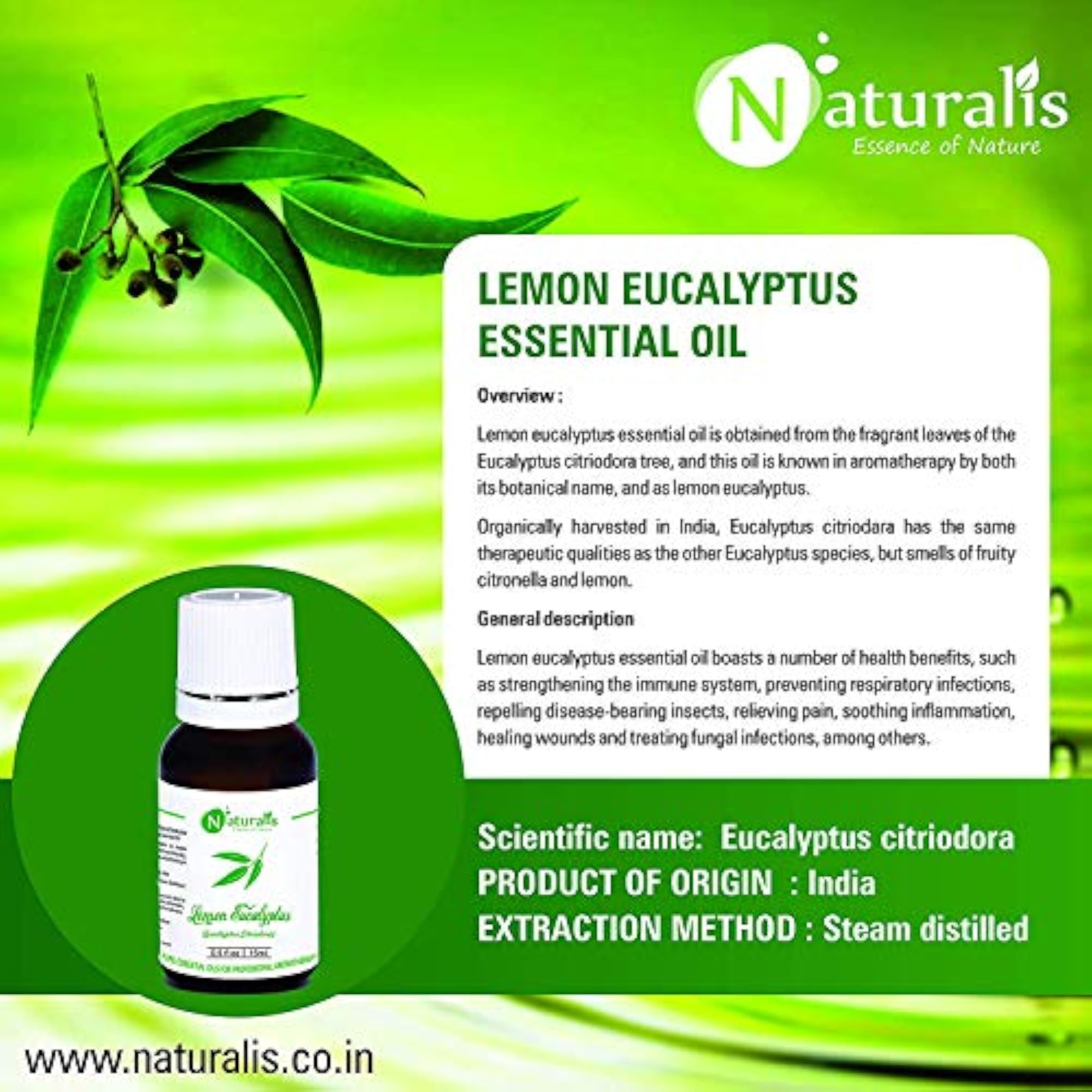 Lemon Eucalyptus Oil for Dandruff & Mosquito Repellent 30ml Pack of 6