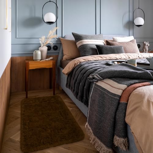 HOMORE Small Rugs for Bedroom 2x3 Feet Brown Rug for Bedroom Bedside Soft Fluffy Area Rugs for Desk Indoor Entrance Door Mat, Small Runner Rugs and Carpets for Dorm Nursery