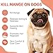 Mange Treatment for Dogs, Snooths Itching & Scratching, Promotes Hair Growth, Reduces Inflammation, Supports Skin & Coat Health, Vet-Recommended, 200 Odorless Tablets