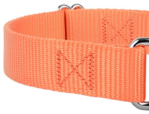 Country Brook Petz - Mango Martingale Heavy Duty Nylon Dog Collar - 21 Vibrant Color Options (1 Inch Width, Large) #TOP7