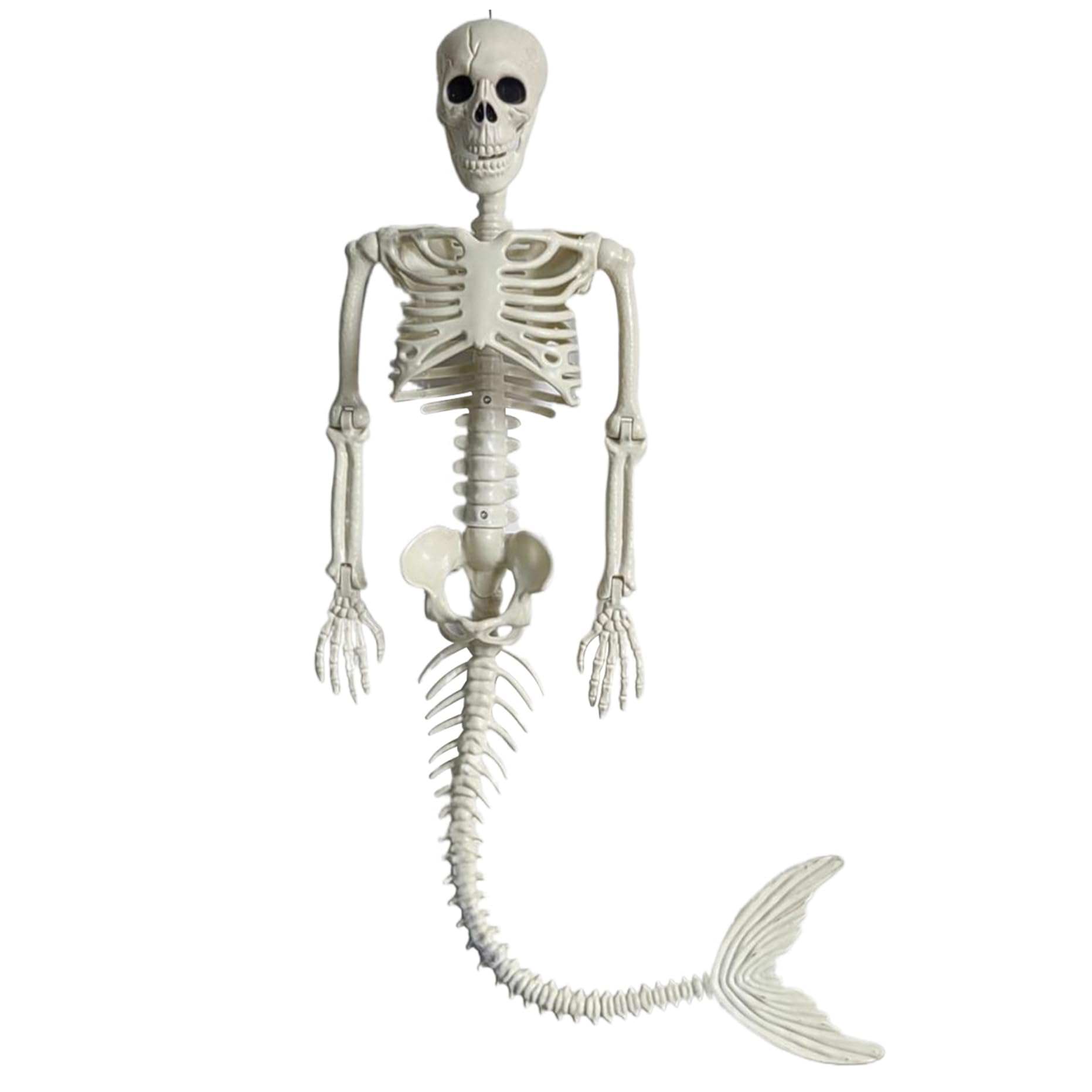 Vervevum Skeleton with Posable Joints 39 Inch Scary Halloween Skeleton Hanging with Long Tail for Halloween Decorations, Spooky Scene Party Favors, Life Size