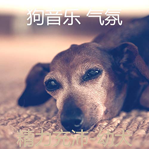Amazon Musicで狗音乐 气氛の精力充沛-幼犬を再生する
