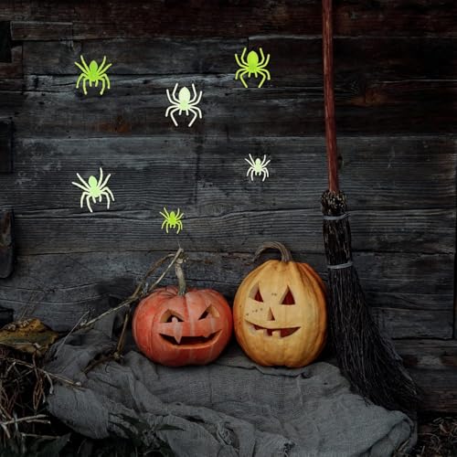 beejune 50 Stück Spinne, Simulation Wildspinne Modell, Realistic Spider, Spinnen Deko, Plastik Spinnen,Plastik Spinne, Spinne Spielzeug, Gummispinne, for Halloween Parties, Fool's Day