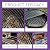 2/3/5PCS Fast-Acting Heavy-Duty Grill Degreaser Spray, BBQ Grill Cleaner Spray,grill Degreaser for Outdoor Grills,Grills Grate Cleaner and Degreaser for Burnt Food & Grease (1)