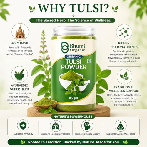 Image of Tulsi Leaves Powder (300g) | Holy Basil for Immunity, Skin & Hair, Non-GMO, No Preservatives, Thulasi Podi /Tulasi Hudi