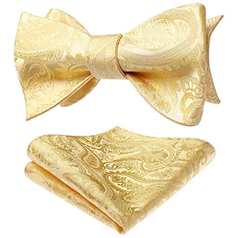 Noeud Papillon HISDERN Jacquard Cover