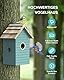 RAINBEAN Bird House with Camera,Nistkasten mit Kamera, 4 Millionen Pixel Outdoor-Vogelhaus-Kamera, Echtzeitbeobachtung des Nestbaus und der Brut von Vögeln, AI-Erkennung des Vogelverhaltens, DIY, Blue