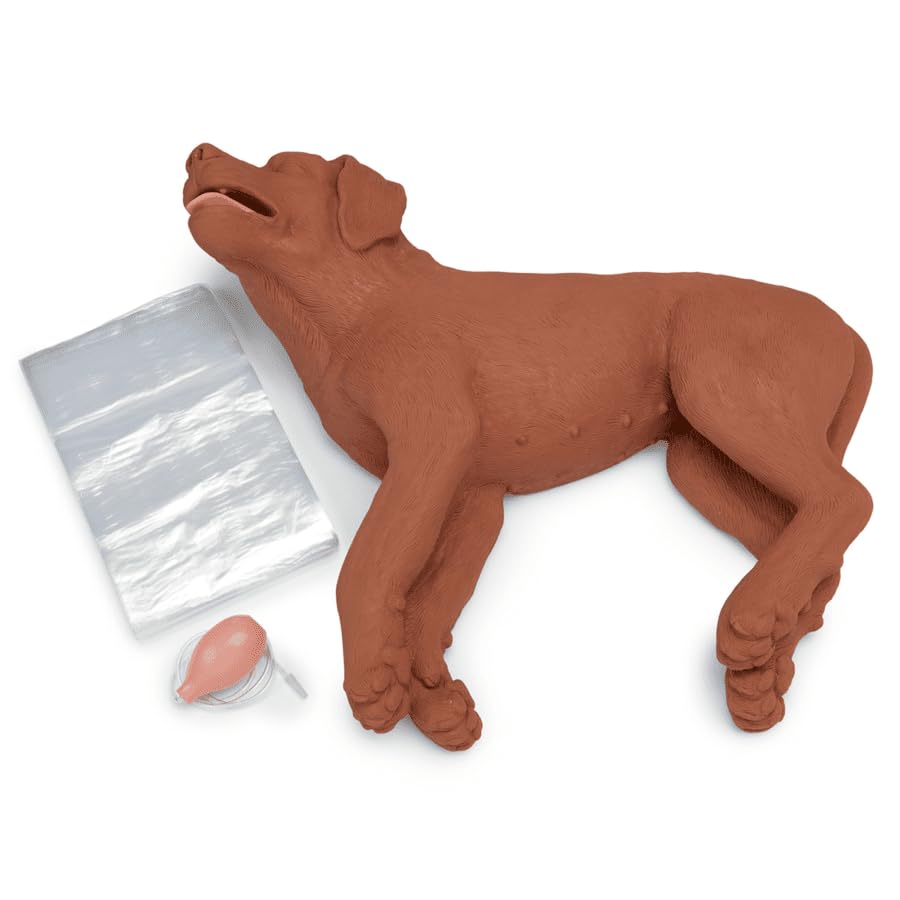 Casper CPR Dog Manikin from Simulaids