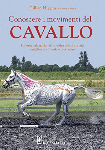 Conoscere i movimenti del cavallo