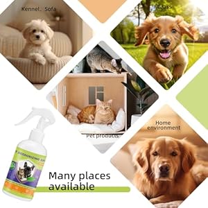 Pet Urine Odor Eliminator Spray for Home, Cat Litter Box Deodorizer Perfume, Dog Cologne Spray Long Lasting Male, Smelly Doggy Deodorant Spray for Furniture, 500ml/ 16.9oz, Green Tea