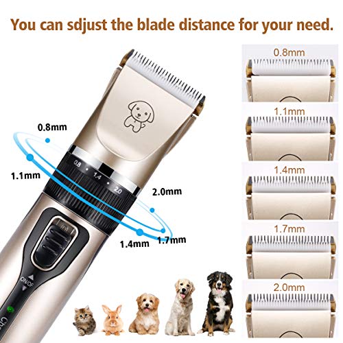 GAMURRY Dog Clippers, Pet Shaver Clippers, Low Noise Cordless Dog Grooming Kit, Electric Pet Hair Trimmers for Dogs Cats… - Image 7