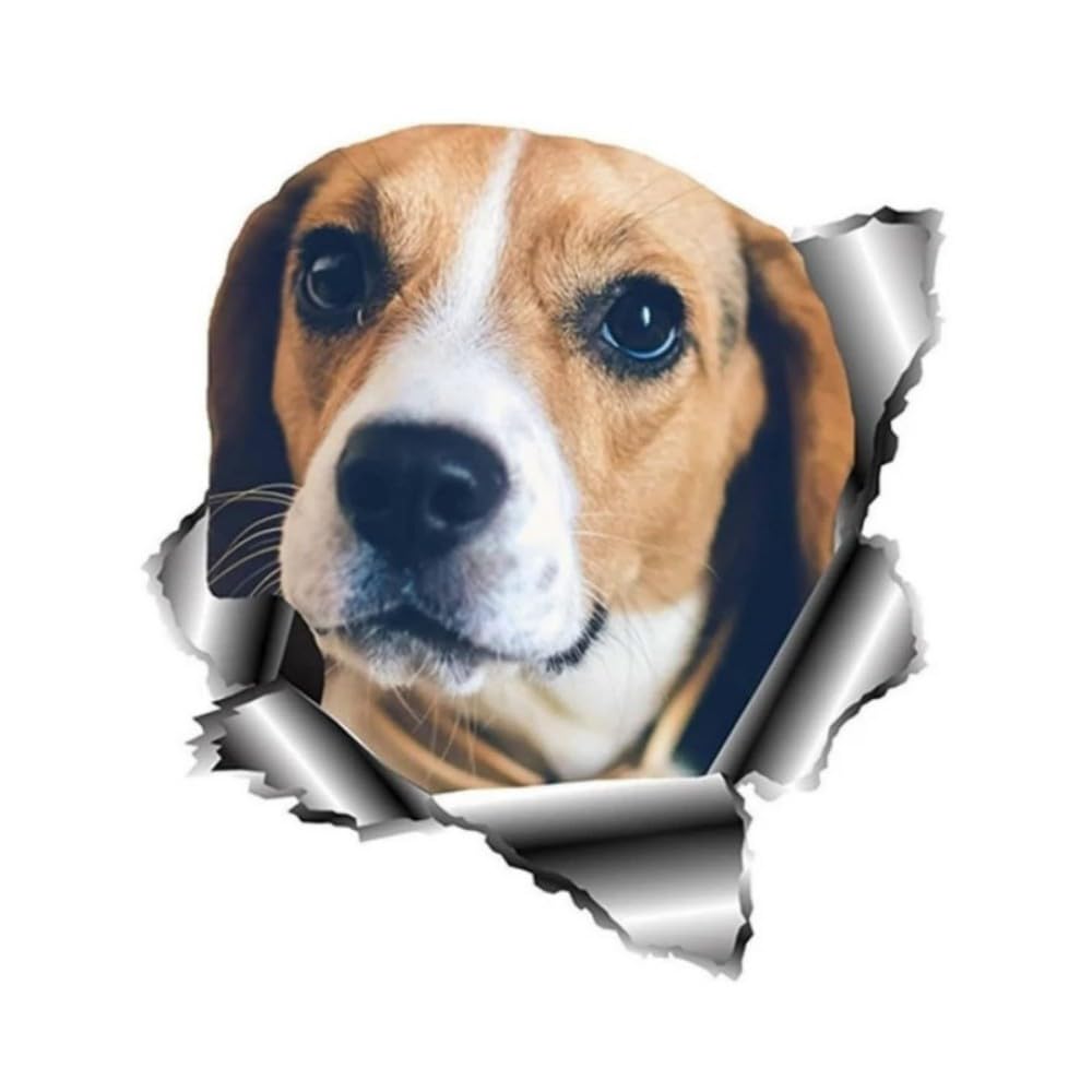 Beagle Hund Aufkleber, Wasserfest Reflektierend, 3D Zerrissenes Design für Auto, Kühlschrank, Laptop, Fenster, Haus Dekoration (25cm/9.8 Inch)