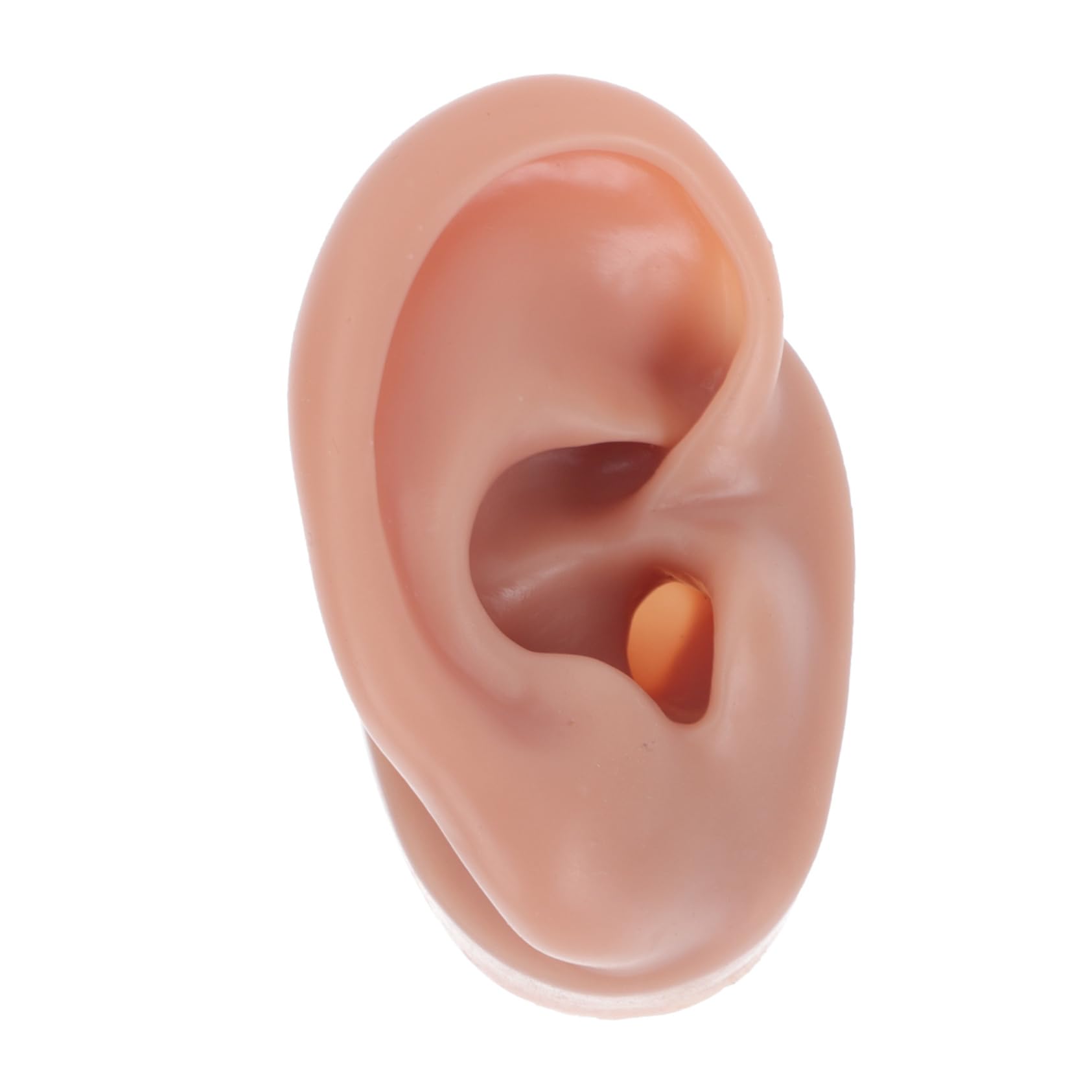 Didiseaon Silicone Piercing Teaching Model Lifelike Human Ear for Novice Practice