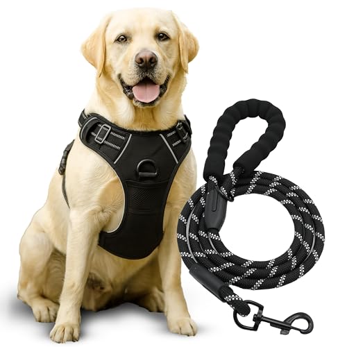 ROSSOPAWS - Pettorina Cane Taglia Media Piccola Grande - Kit Completo di Pettorina, Guinzaglio - (L)