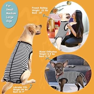 Dog-Surgical-Recovery-SuitSurgery-Female-Male-Dog-ShirtSpayNeuter-Recovery-ClothesZipper-Closure-Cotton-Striped-Wounds-Protect-SuitBlack-Striped-XS - Cucciolini Doodles   Dog-Surgical-Recovery-SuitSurgery-Female-Male-Dog-ShirtSpayNeuter-Recovery-ClothesZipper-Closure-Cotton-Striped-Wounds-Protect-SuitBlack-Striped-XS