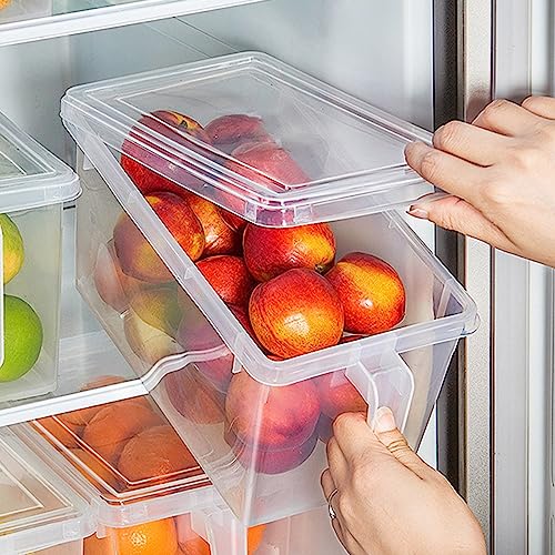 Leak Proof Clear Food Storage Containers with Lid and Handle for Kitchen (Clear) - image 4