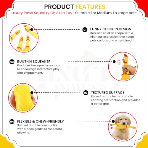 Image of Hen Chicken Squeaky Dog Toy - Large Pack of 1