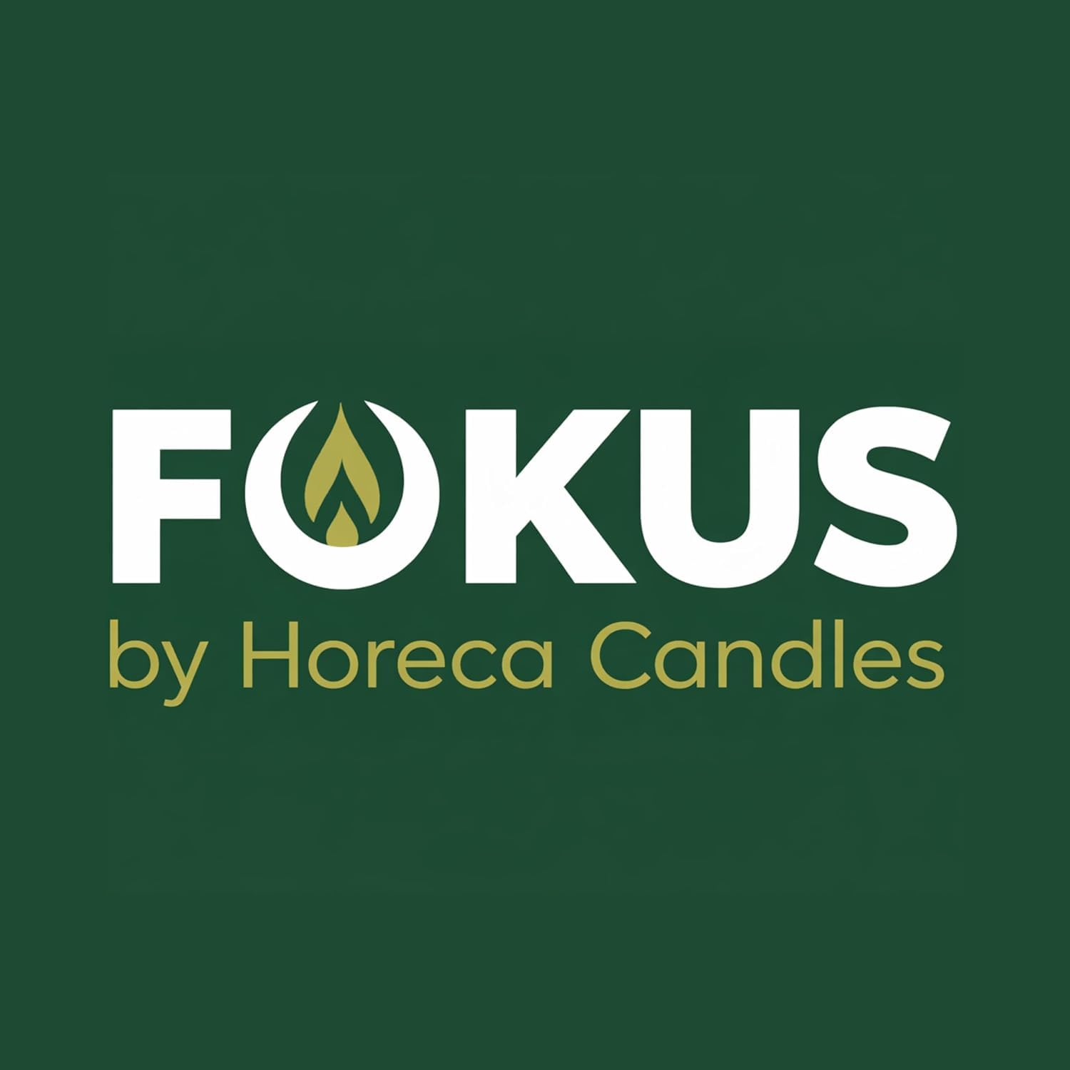 HORECA CANDLES Allume-Feu Naturel en Laine de Bois avec Cire - Lot de 250 Allume-Feux Écologiques pour Barbecue, Cheminée, Poêle à Bois et Brasero - Allumage Rapide, Longue Combustion, sans Odeur