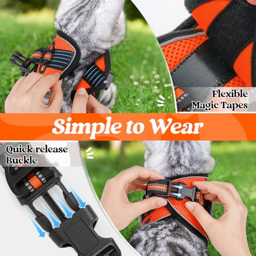 Image of rabbitgoo Cat Harness and Leash Set, Step-in Soft Vest, Orange