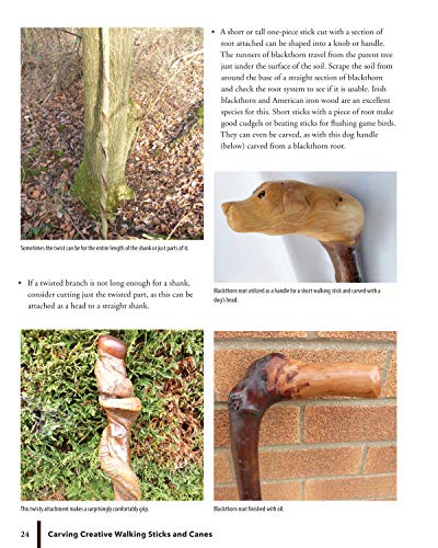 Carving Creative Walking Sticks and Canes: 13 Projects to Carve in Wood (Fox Chapel Publishing) Step-by-Step Instructions, Stickmaking Tips, Finishing, and More, for Carvers from Beginner to Advanced - Image 6