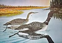 REX BRASHER'S BIRDS & TREES OF NORTH AMERICA. FOUR VOLUMES. B0026EINK2 Book Cover