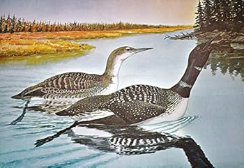 Hardcover REX BRASHER'S BIRDS & TREES OF NORTH AMERICA. FOUR VOLUMES. Book