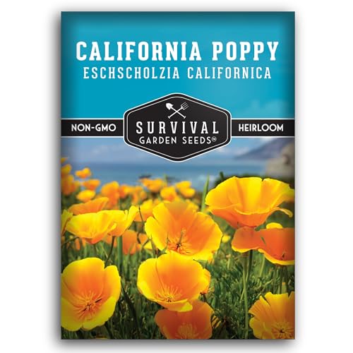 Survival Garden Seeds - California Poppy Seeds for Planting - 1 Packet with Instructions to Grow Eschscholzia Californica Plants in Your Home Flower Garden - Non-GMO Heirloom Wildflower Variety