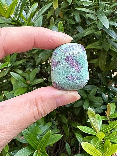 Image of GAF TREASURES 1 /2 LB Ruby Fuchsite Tumbled Stones, Polished Natural Ruby Fuchsite Gemstone, Ruby Fuchsite Healing Crystals (Ruby Fuchsite)