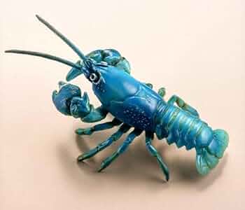 「日本の天然記念物」 天然記念物（地域指定）No.51ニホンザリガニ（青） 日本の天然記念物」 天然記念物（地域指定）No.51ニホンザリガニ