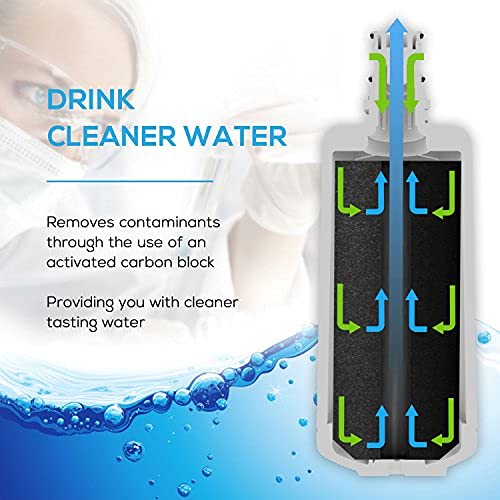 Filtre EcoAqua EWF-8005A élimine goût chlore compatible Instanta CPF210 CPF4100 - 6