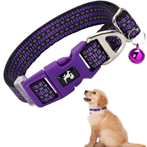 Reflective Nylon Puppy Collar with Bell, XS, Purple