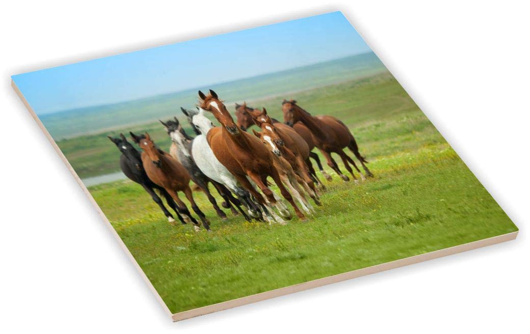 Sam Sandor 6 Inch Ceramic Tile Art - Brown Horses Galloping in Field