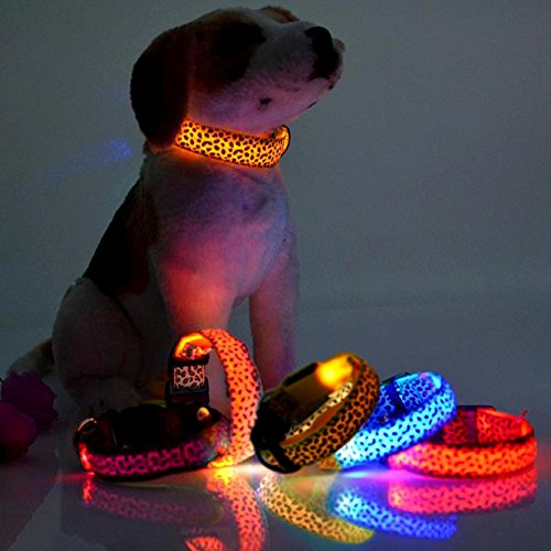 犬 光る首輪の人気商品 通販 価格比較 価格 Com