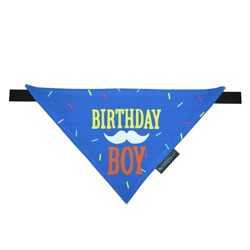 Heads Up For Tails Birthday Boy Dog Bandana (Medium) (B0BS1KS723) Amazon Price History, Amazon Price Tracker
