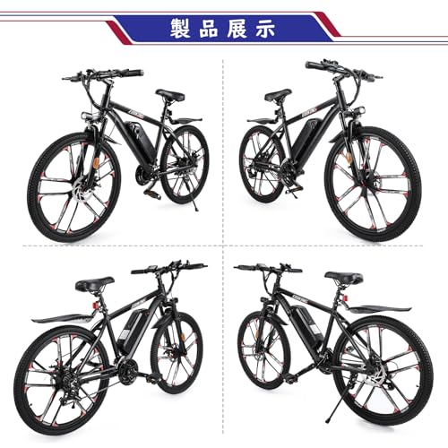 EBIKING DY2601L 電動アシスト自転車 の商品画像 1
