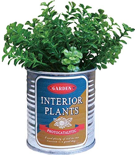 P[ACWp CeAO[ G} ~j  ϗtA t@VFCv a12×13-14cm (Mtg{bNX) TIN