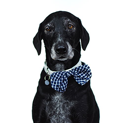 Tail Trends Dog Plaid Bow Tie Collar Slider For Teacup To Medium And Large Breeds (L) #TOP27