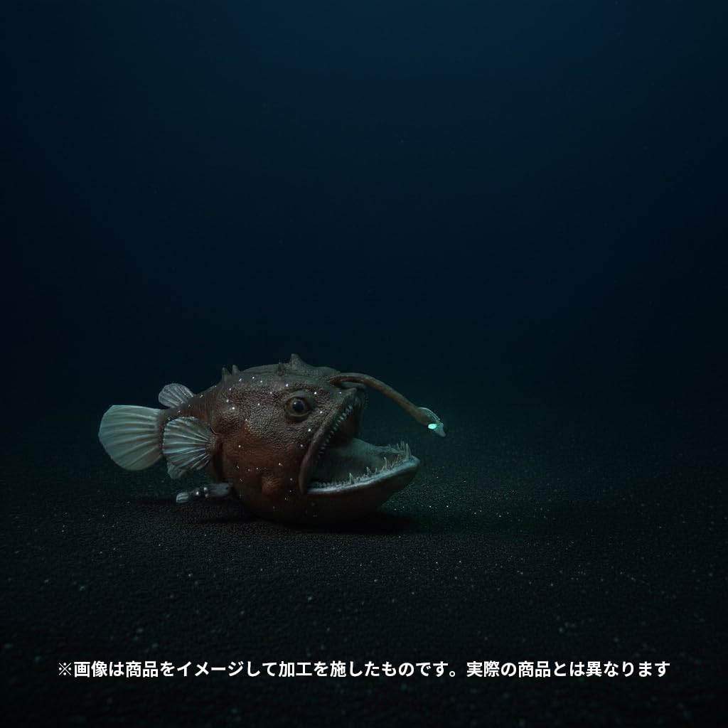 Amazon.co.jp: [猫神山] チョウチンアンコウ 海のサカナ 深海魚