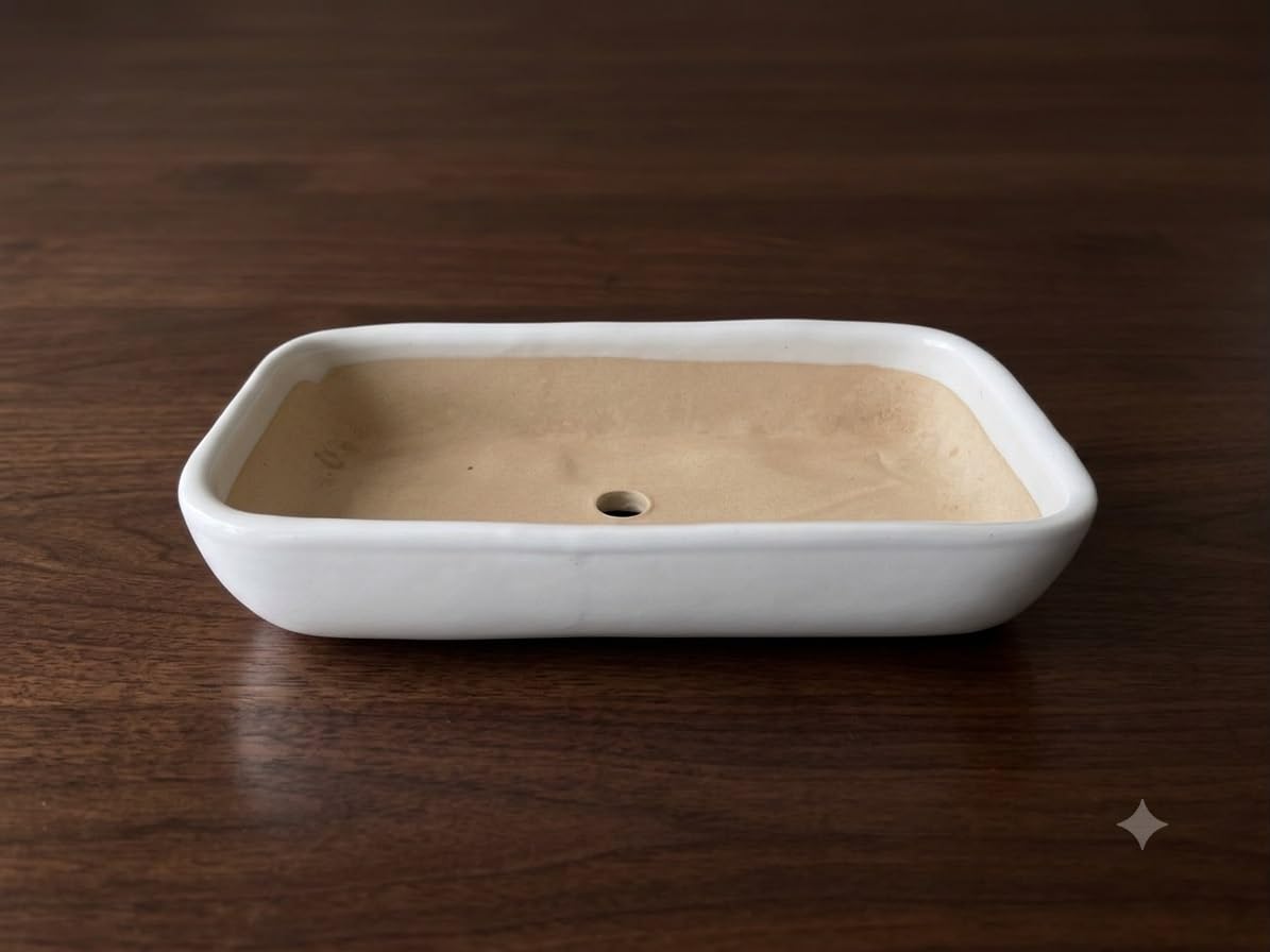 White Ceramic Rectangle Bonsai Large Tray Planter Pot 25x15x5 cm Decorative Planter for Bonsai, Succulents, Cactus, Herbs & Indoor Outdoor Plants-image-4