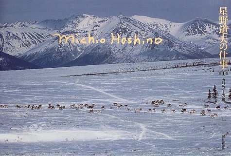 Journey of <Volume 1> Caribou work of Michio Hoshino (1998) ISBN: 4022586486 [Japanese Import]